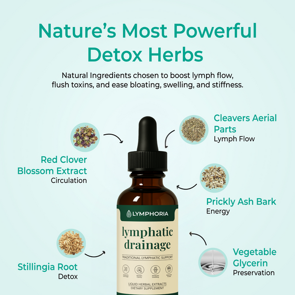 Prickly Ash Bark and Stillingia Root: Lymphatic Herbs Explained